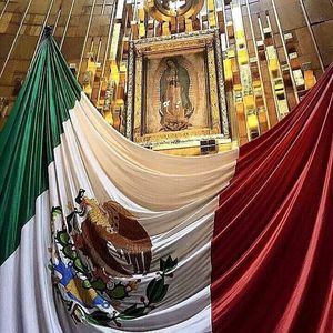 Meet your Posher, Rogelio